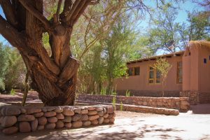 Ckoi-Atacama-Lodge-18